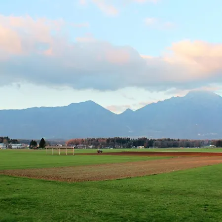 לינה וארוחת בוקר Valjavec 3*